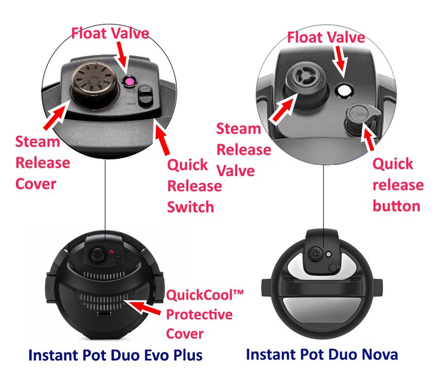 Duo Evo Plus and Duo Nova lid comparison